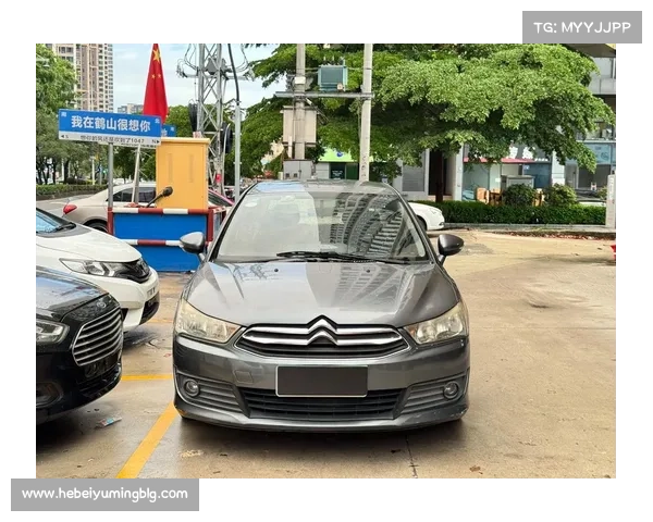 值得拥有的法式经典 试驾雪铁龙新世嘉