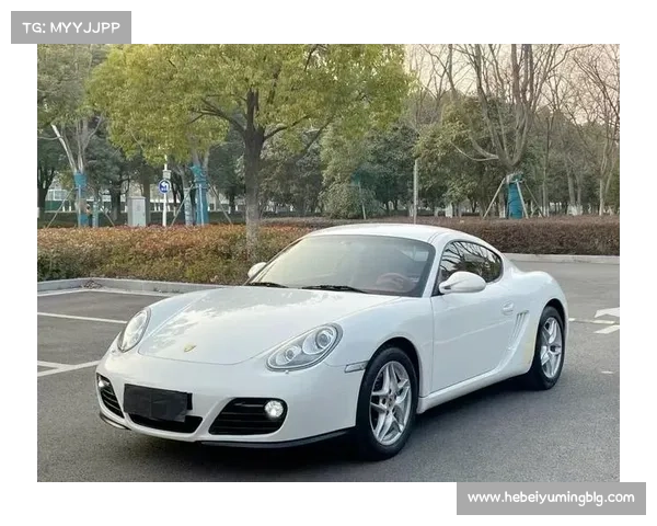 保时捷卡曼傻傻分不清楚？5分钟让你速成行家