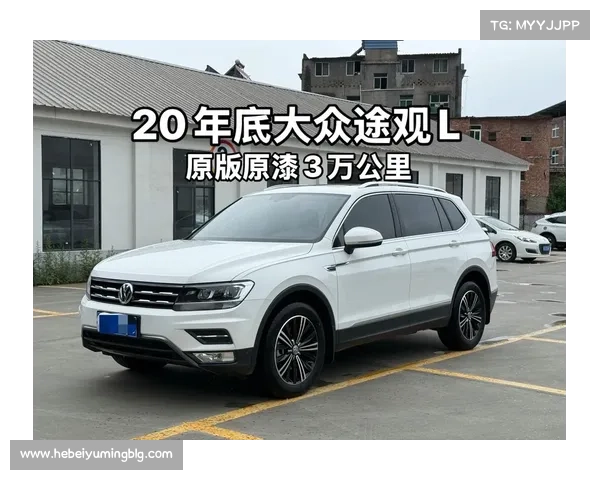 全新大众途观L曝光，外观漂亮，搭载2.0T发动机，一个能打都没有